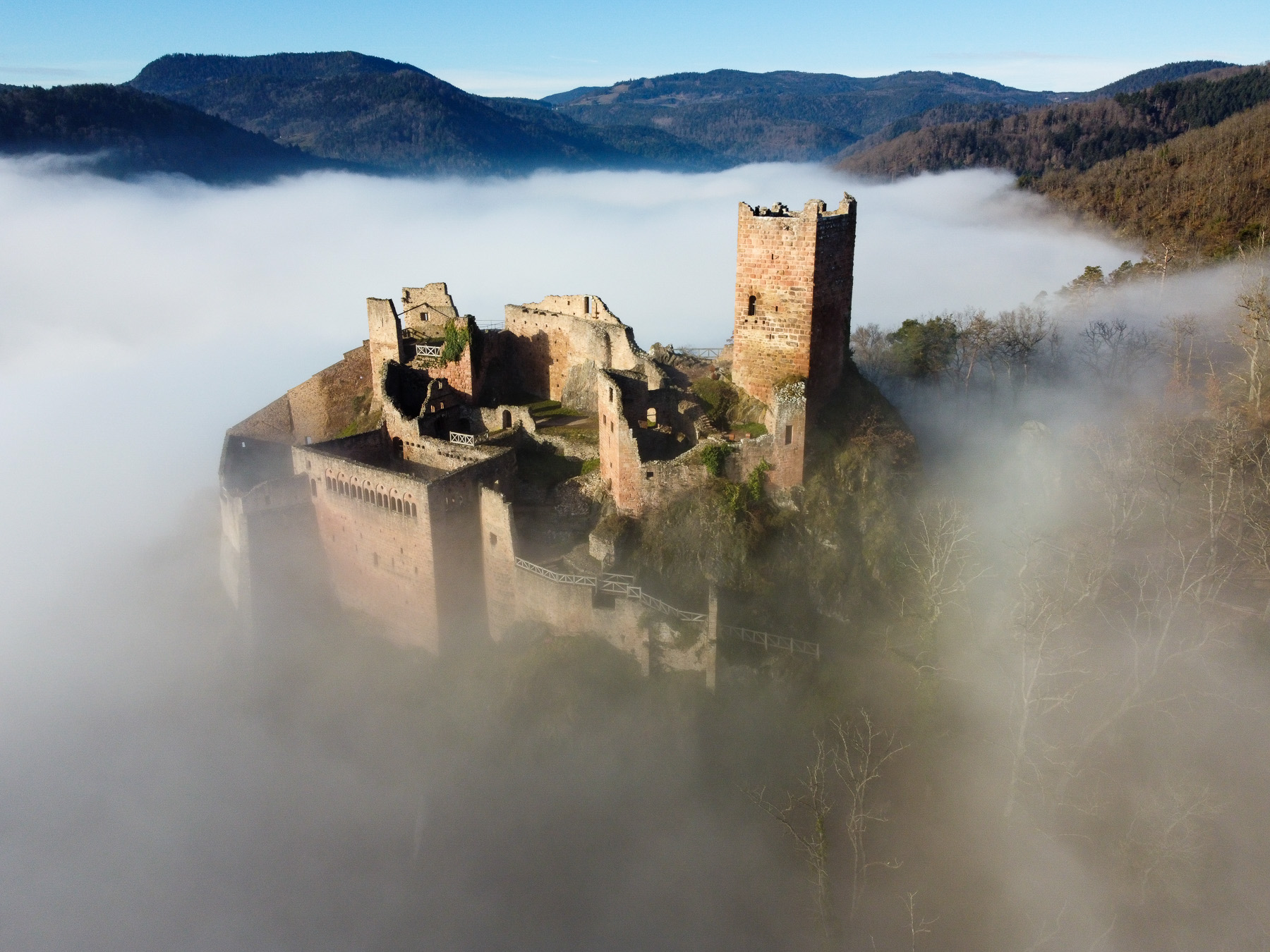 Château émergeant de la brume dans un paysage alsacien