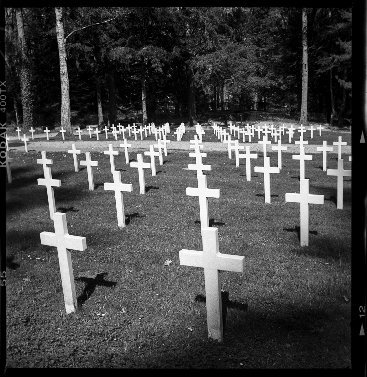 Croix blanches alignées dans un cimetière militaire photographié en noir et blanc