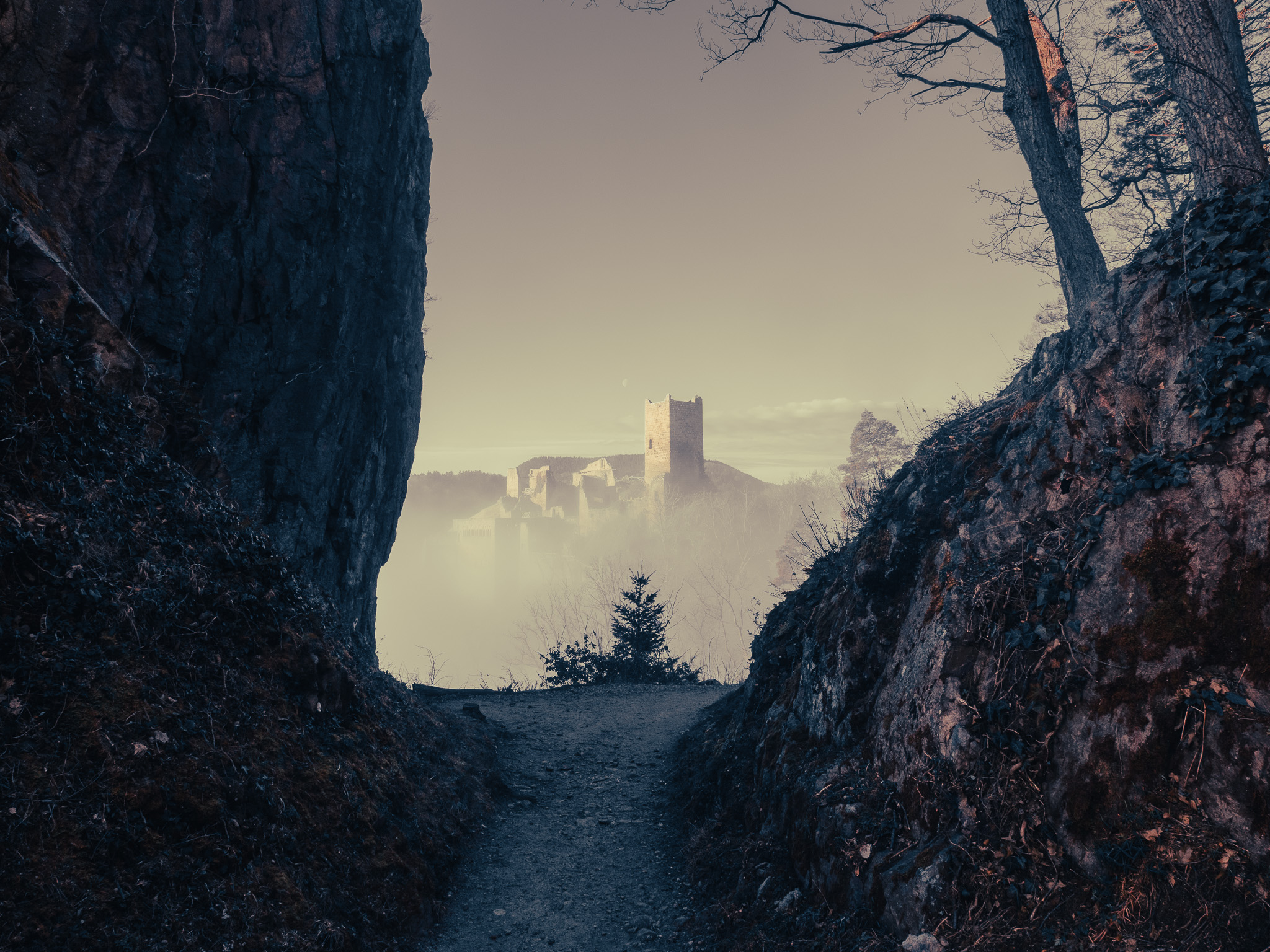 Château fort aperçu au loin entre des parois rocheuses au-dessus d’une vallée noyée dans la brume