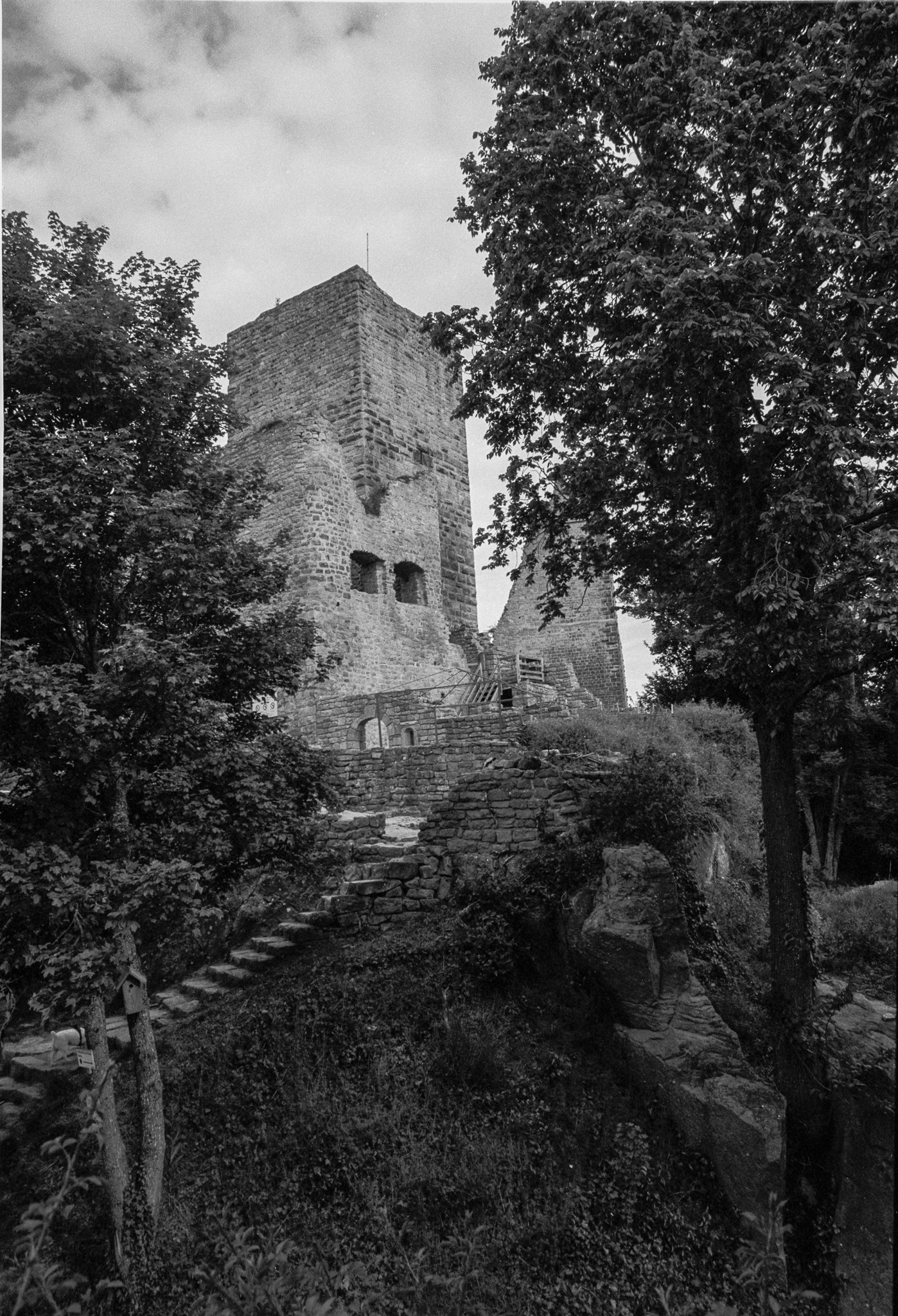 Tour en ruine apparaissant au milieu des arbres et des murs de pierre en noir et blanc