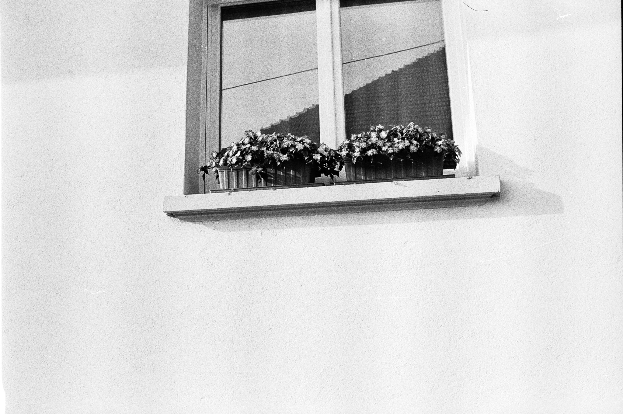 Fenêtre avec jardinière fleurie sur une façade claire à Neuf-Brisach