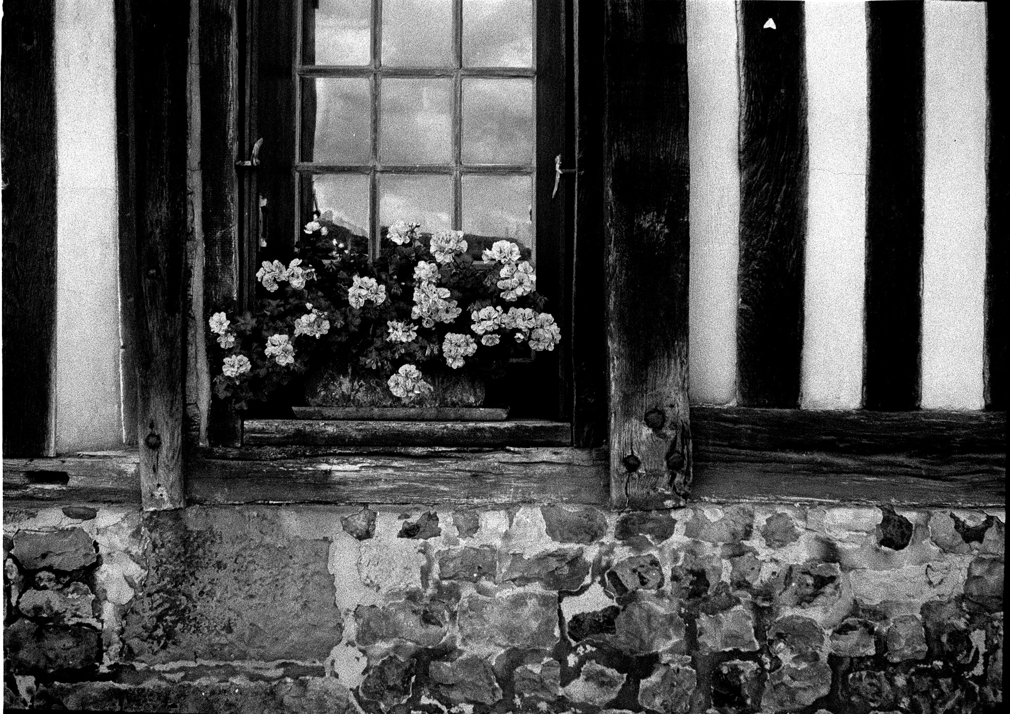 Fenêtre fleurie dans une ancienne façade à colombages et maçonnerie à Honfleur