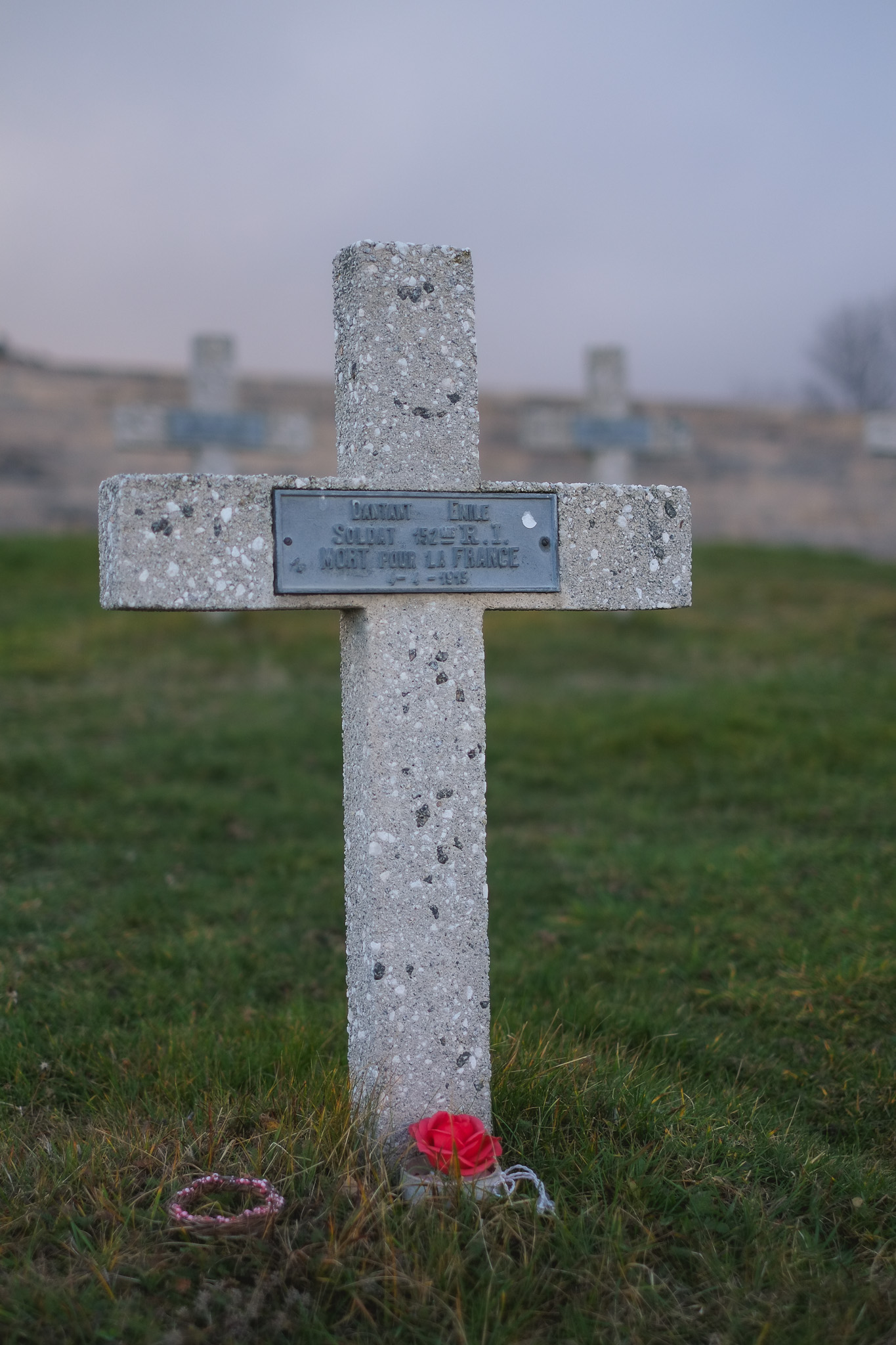 Croix militaire isolée au Hartmannswillerkopf avec une petite fleur rouge à son pied