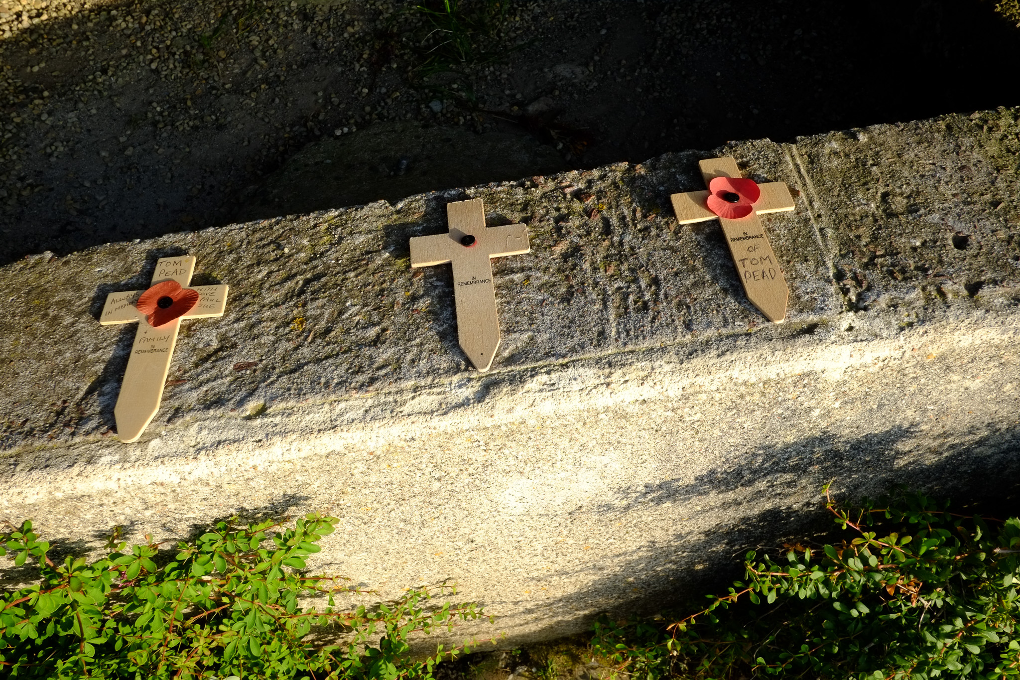 Coquelicots rouges déposés sur des pierres commémoratives d’un site du Débarquement en Normandie